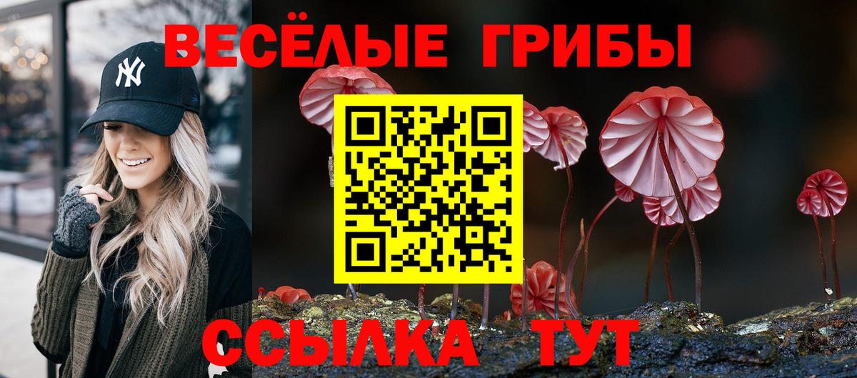 Псилоцибиновые грибы мухоморы  Вход с VPN  Россия 